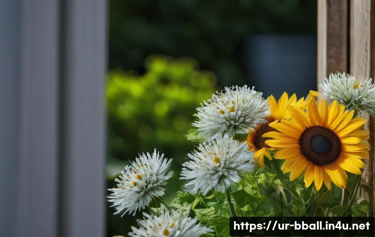 농구 초보자 가이드 관련 이미지 1